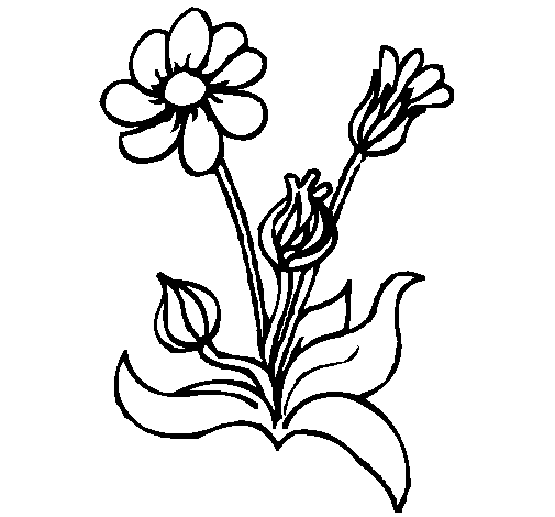 Dibujo de Flores 2 para Colorear