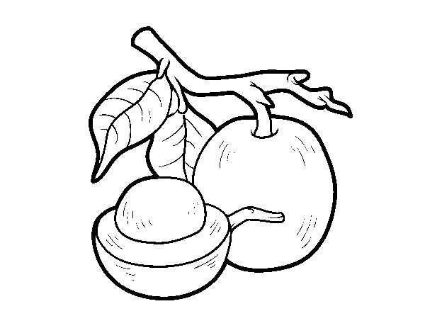 Dibujo de Fruta exótica ximenia para Colorear