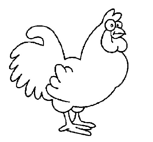 Dibujo De Gallo Para Colorear Dibujos Net