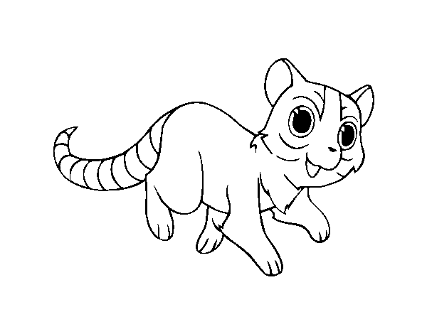Dibujo de Gato con cola de anillo para Colorear