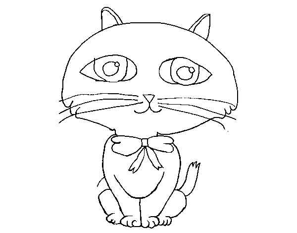 Dibujo de Gato con largo bigote para Colorear
