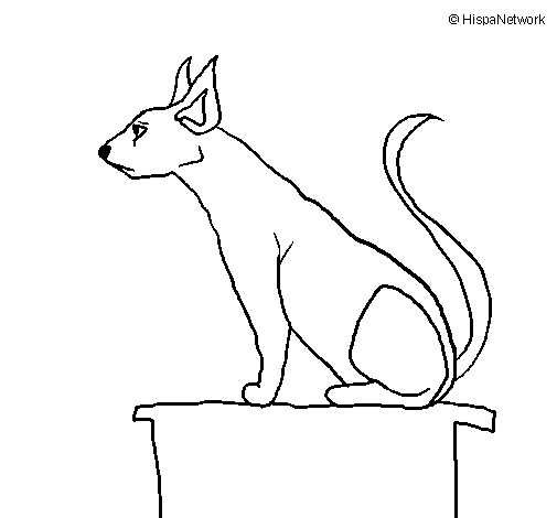 Dibujo de Gato egipcio II para Colorear