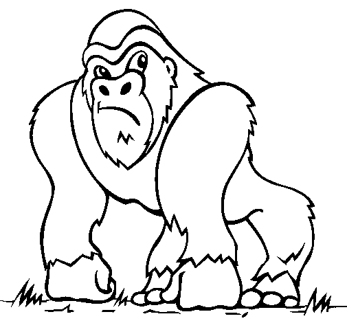 Dibujo de Gorila 1 para Colorear