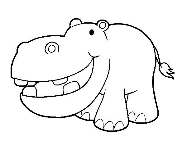 Dibujo de Hipopótamo pequeño para Colorear