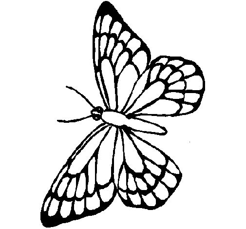 Dibujo de Mariposa 10 para Colorear