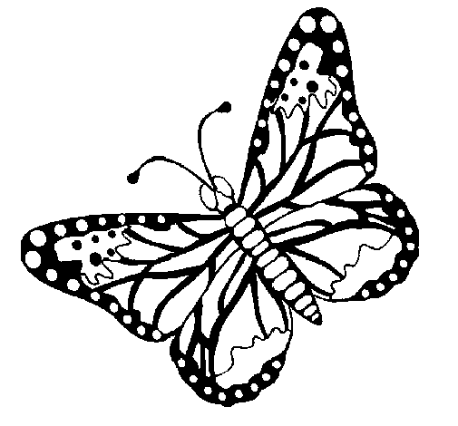 Dibujo de Mariposa 4 para Colorear