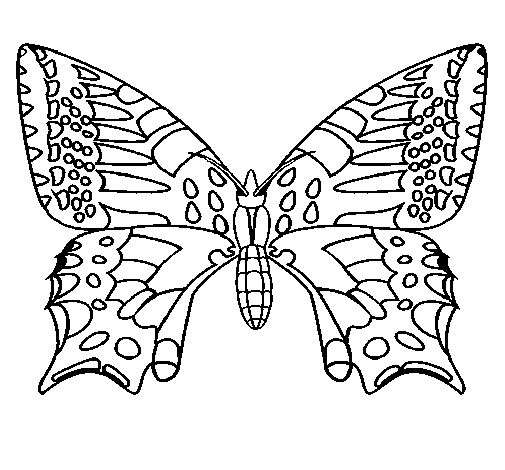 Dibujo de Mariposa 5 para Colorear