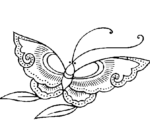 Dibujo de Mariposa 8a para Colorear