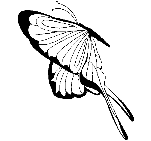 Dibujo de Mariposa con grandes alas para Colorear
