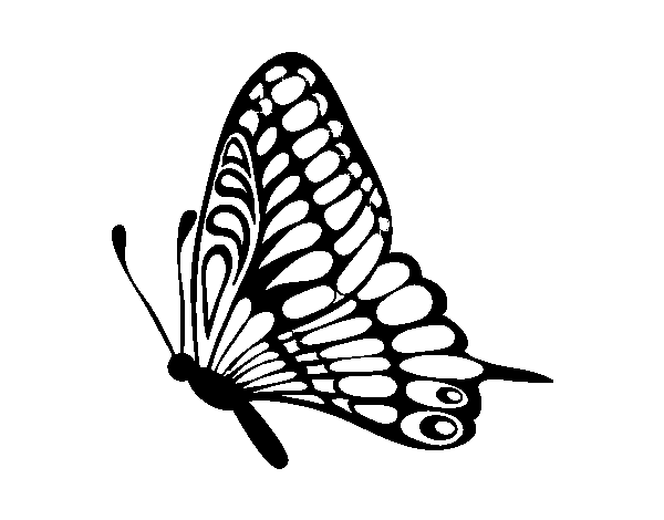 Dibujo de Mariposa dirección izquierda para Colorear