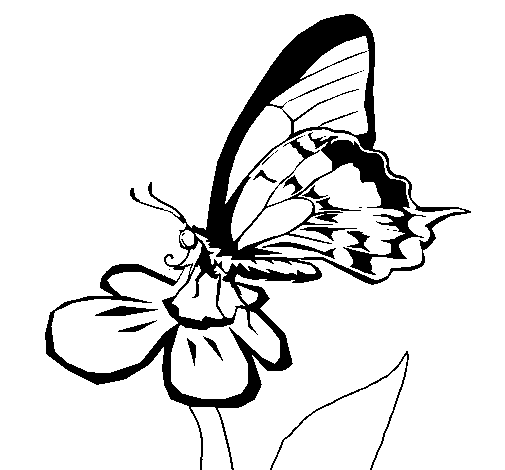 Dibujo de Mariposa en una flor para Colorear