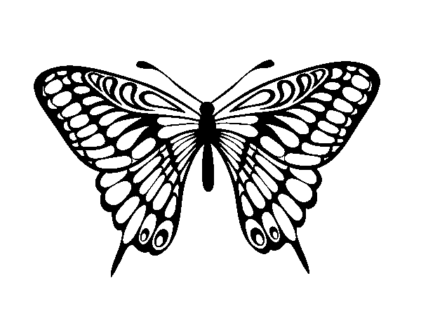 Dibujo de Mariposa gran mormón para Colorear