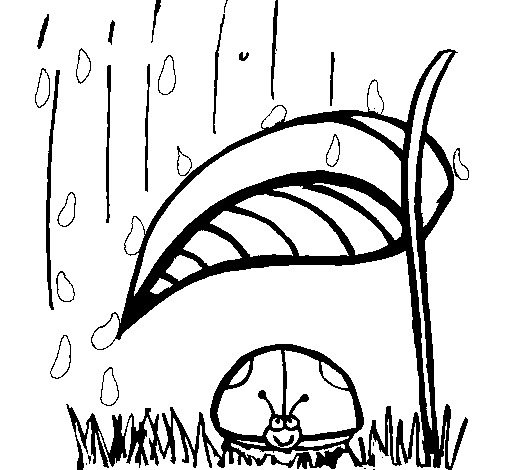 Dibujo de Mariquita protegida de la lluvia para Colorear