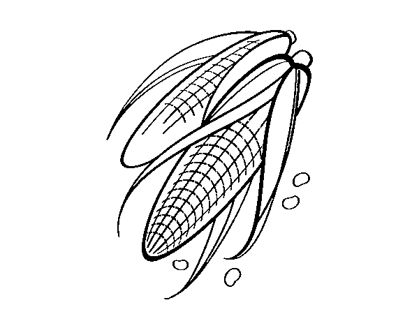Dibujo de Mazorcas de maíz para Colorear