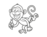 Dibujo de Mono capuchino para colorear