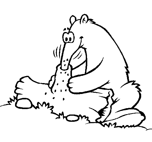 Dibujo de Oso hormiguero comiendo para Colorear