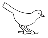 Dibujo de Pájaro 4