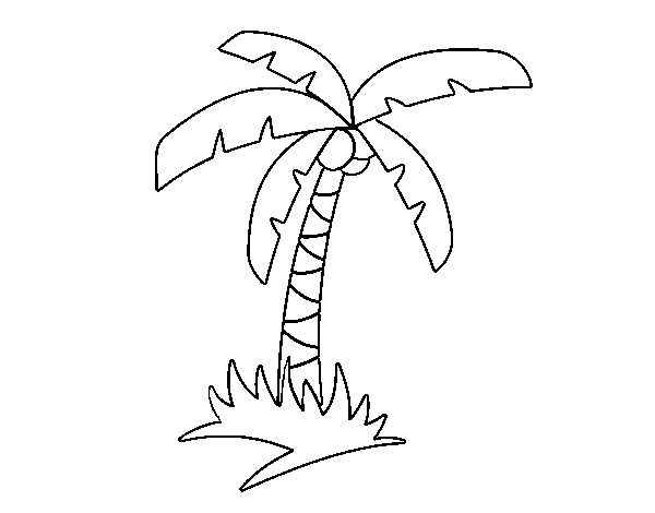 Dibujo de Palmera tropical para Colorear
