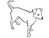 Dibujo de Perro 6a para colorear