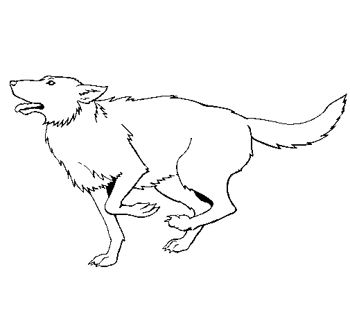 Dibujo de Perro corriendo para Colorear
