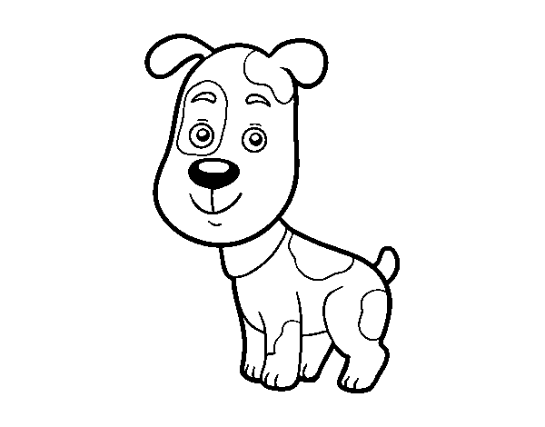 Dibujo de Perro domestico para Colorear