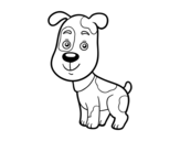 Dibujo de Perro domestico para colorear