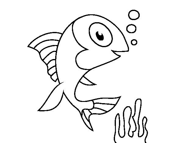 Dibujo de Pez de mar para Colorear