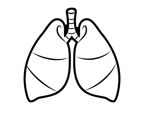 Dibujo De Pulmones Para Colorear Dibujos Net