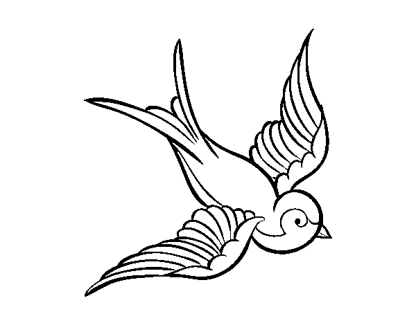 Dibujo de Tatuaje de pájaro para Colorear