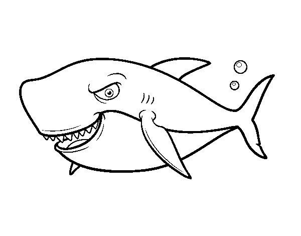 Dibujo de Tiburón dentudo para Colorear