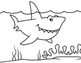 Dibujo de Tiburón marino para colorear