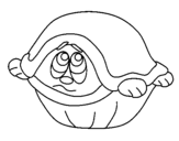 Dibujo de Tortuga asustada