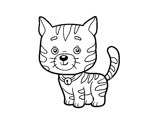 Dibujo de Un gato doméstico para Colorear