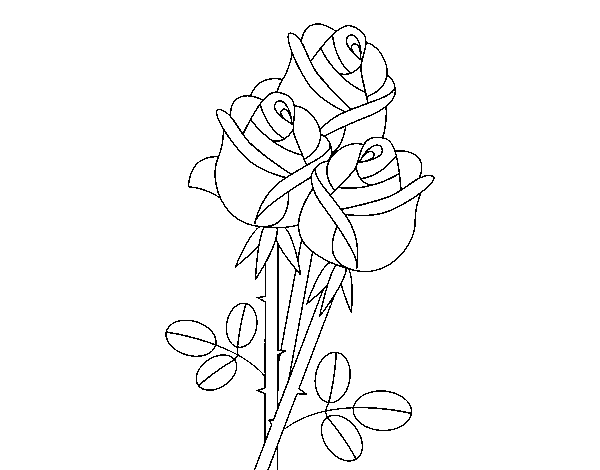 Dibujo de Un ramo de rosas para Colorear