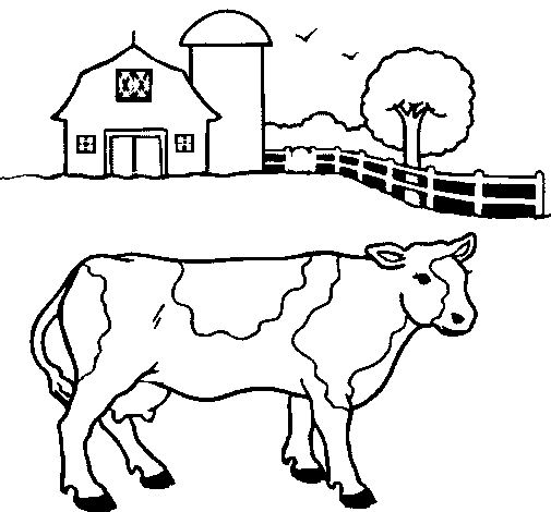 Foto de una vaca para colorear - Imagui