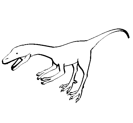 Dibujo De Velociraptor Ii Para Colorear Dibujos Net