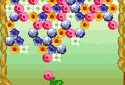 Puzzle de flores