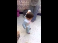 Bebé bailando flamenco