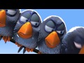 Divertido cortometraje  de Pixar - Las aves