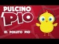 El pollito Pio - Pulcino Pio