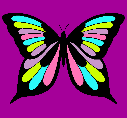 Mariposa