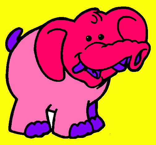 Elefante