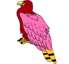 Dibujo Águila pintado por noel