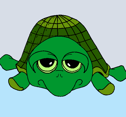 Tortuga