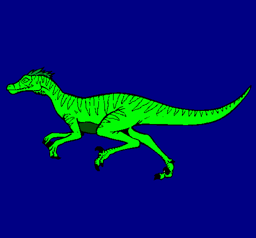 Velociraptor