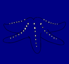 Dibujo Estrella de mar pintado por joako