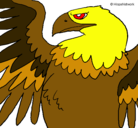 Dibujo Águila Imperial Romana pintado por santiago
