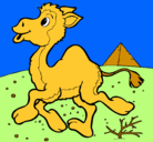 Dibujo Camello pintado por priscila