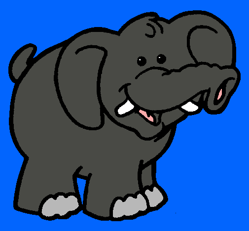 Elefante