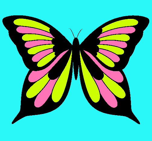 Mariposa